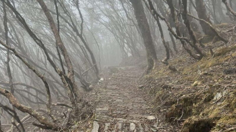 Kathmandu: 8-Day Pikey Hill Trek - Key Points