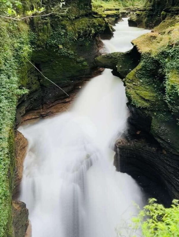 Kathmandu: 8 days Nepal tour (Kathmandu, Chitwan & Pokhara) - Frequently Asked Questions