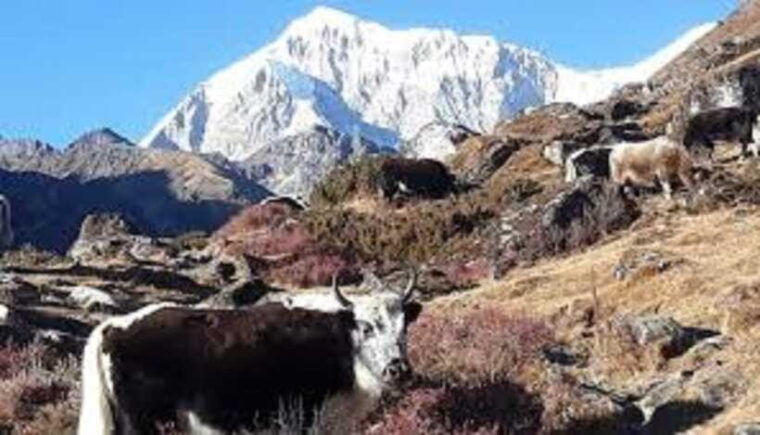 kathmandu-8-night-9-days-dudh-kunda-trek