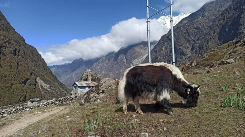 Kathmandu: 9-Day Langtang Gosaikunda Trek with Transfers - Packing tips and practical tips