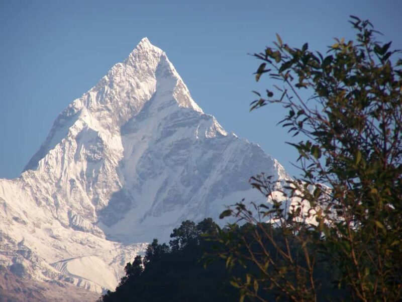 Kathmandu: Annapurna Base Camp Trek with Sightseeing - Approaching Deurali: The Transition to Alpine Scenery