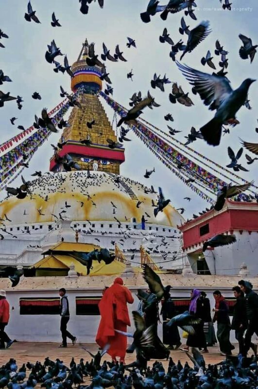 Kathmandu: Bhutan, Lhasa, and Nepal 10-Day Tour - Final Thoughts