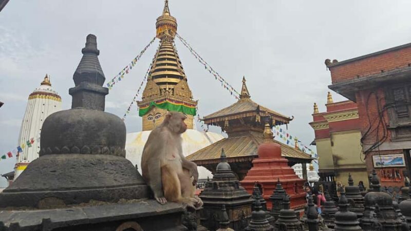 Kathmandu: Buddhist Stupas Tour with Kapon Monastery Visit - Who This Tour Is Best For