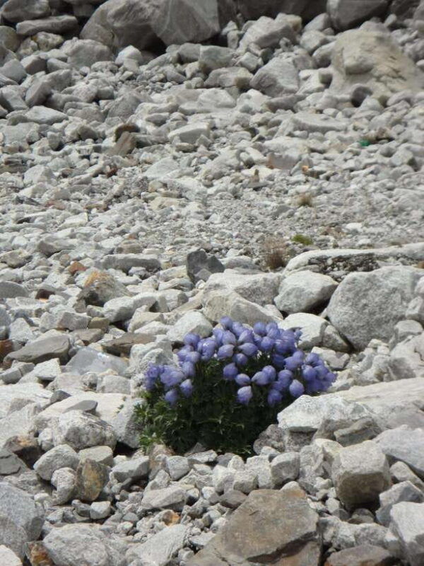 kathmandu-budget-15-day-everest-base-camp-trek-2025