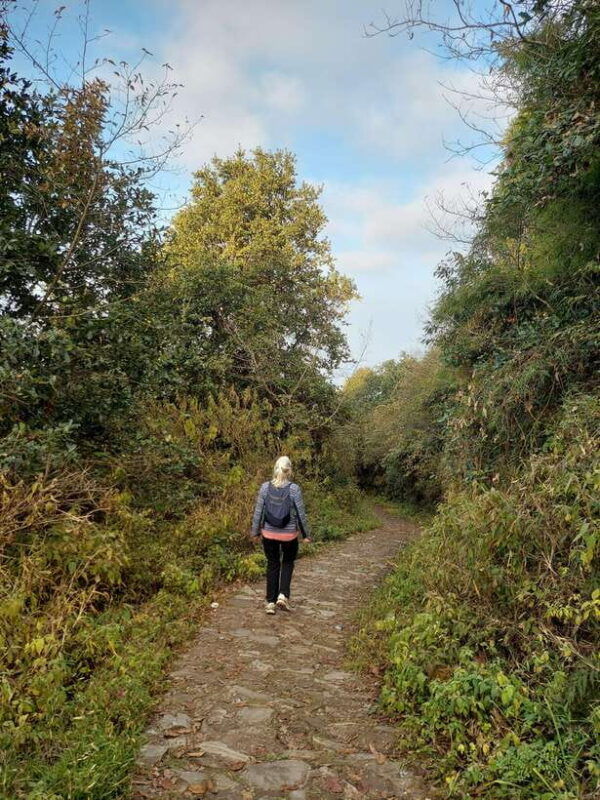kathmandu-cable-car-tour-with-forest-food-walk