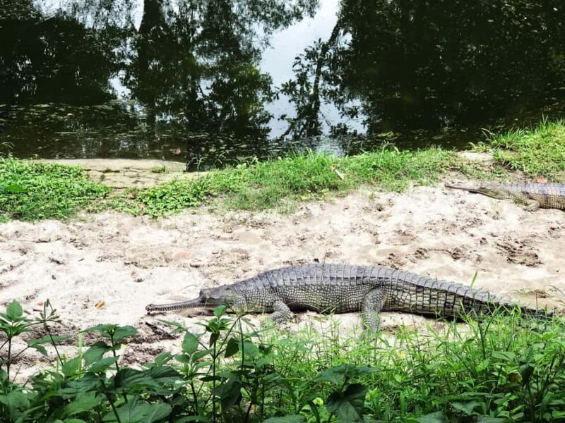 Kathmandu: Central Zoo Tour - FAQ