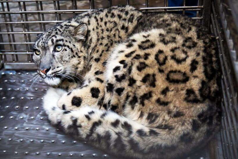 kathmandu-central-zoo-tour