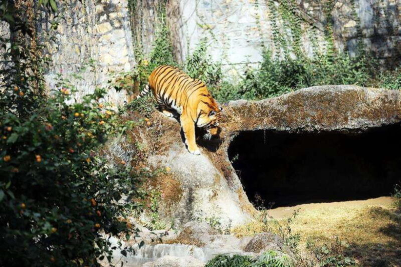 kathmandu-central-zoo-tour