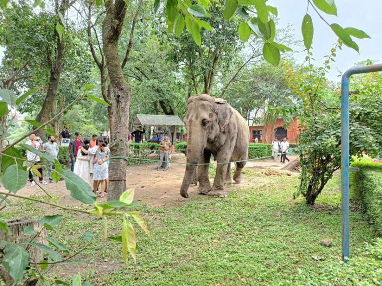 kathmandu-central-zoo-tour