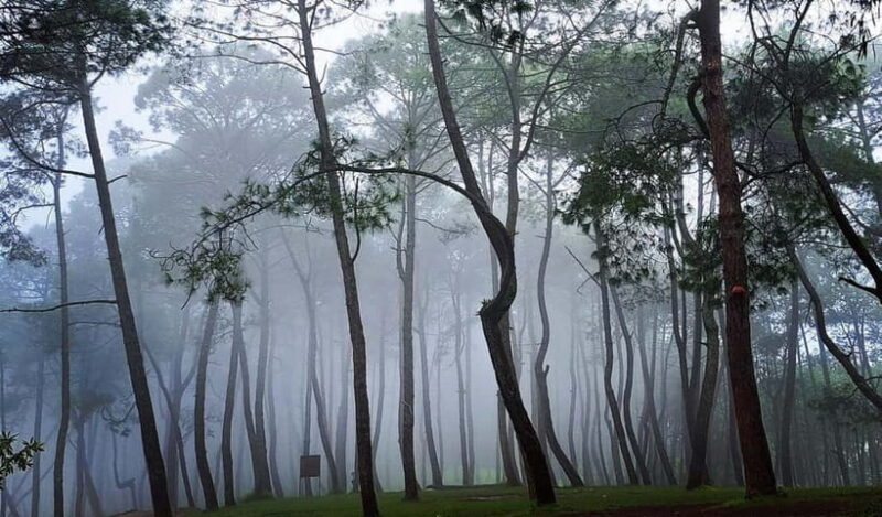 Kathmandu: Champadevi Hill Guided Hike with Lunch - Kathmandu: Champadevi Hill Guided Hike with Lunch — A Practical Guide to Nature and Culture