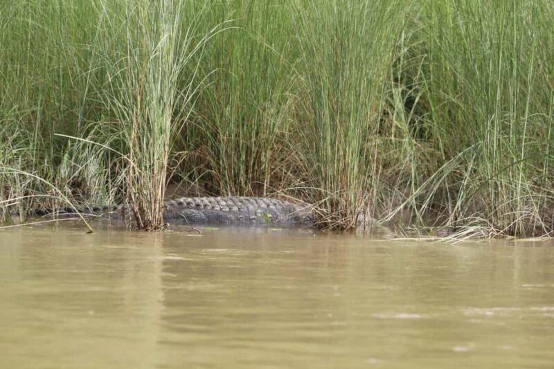 Kathmandu: Chitwan National Park & Lumbini 4-Day Tour - Key Points