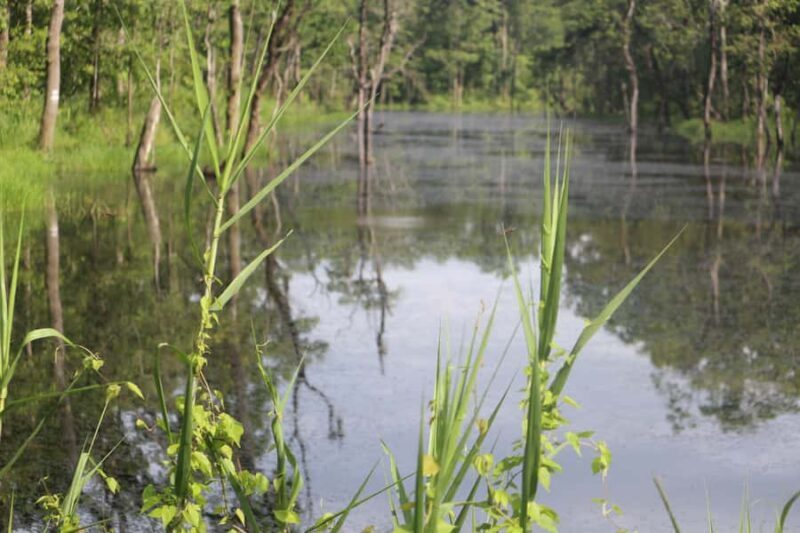 Kathmandu: Chitwan National Park & Lumbini 4-Day Tour - Discovering the Details of the Itinerary