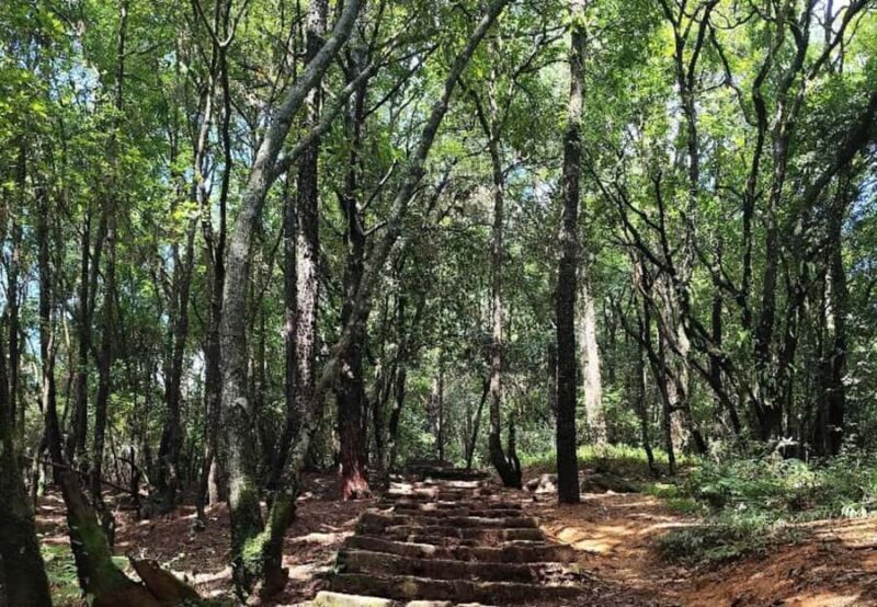 Kathmandu Day Hike to Nagarjun Jamacho with Hotel Pickup - Overview of the Experience