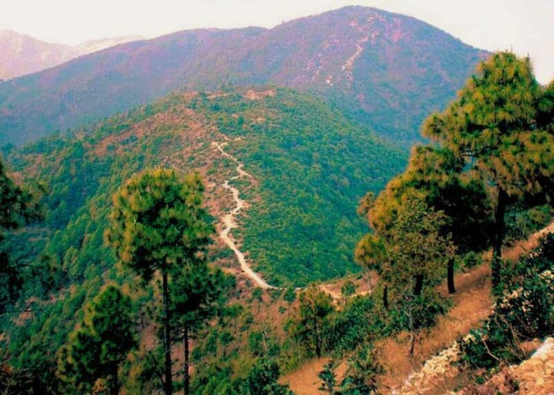 Kathmandu: Hike, Heritage & Holiness | Champadevi day Hiking - An Authentic Day Out of Kathmandu