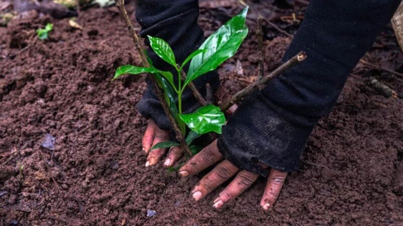 Kathmandu: Hike JamaChwok & Tree Planting for carbon neutral - Final Thoughts