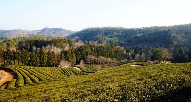 Kathmandu: Ilam Tea Garden & Sunrise 3-Day Tour - Key Points