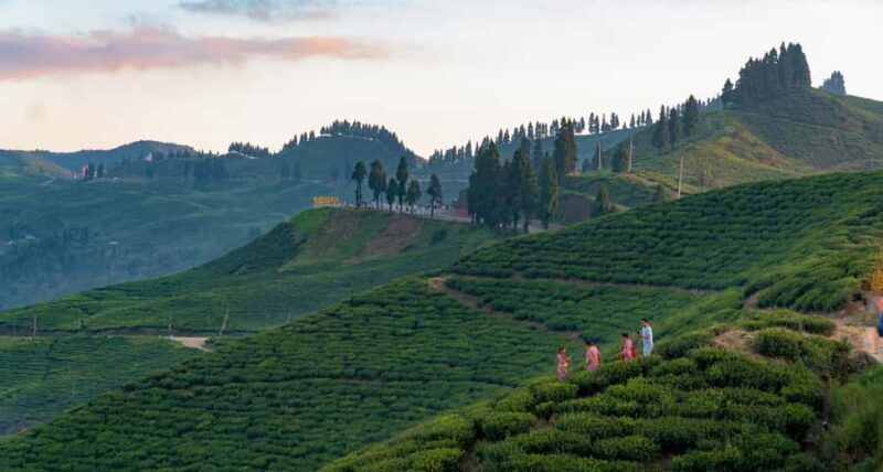 Kathmandu: Ilam Tea Garden & Sunrise 3-Day Tour - FAQs