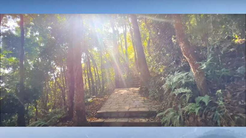 Kathmandu: Jamacho, 4 hours hiking near thamel - Reaching Jamacho Viewpoint