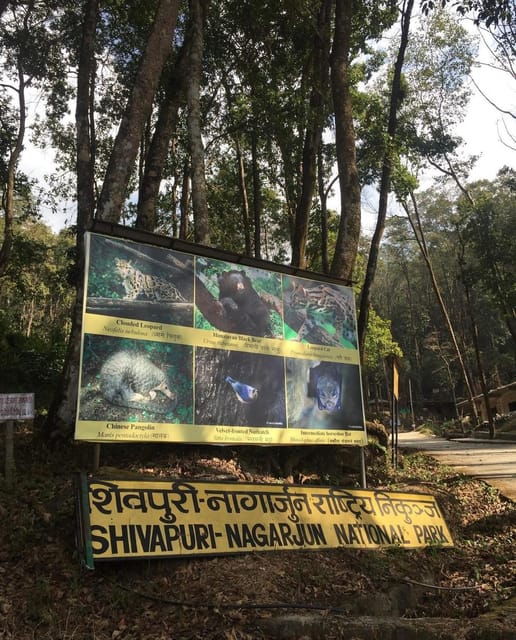 kathmandu-jamacho-nagarjung-danda-day-hike