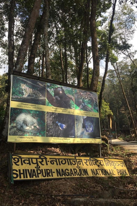 kathmandu-jamacho-nagarjung-danda-day-hike