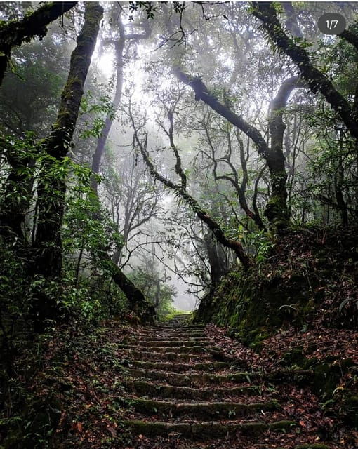 kathmandu-jamacho-nagarjung-danda-day-hike