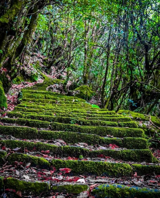 kathmandu-jamacho-nagarjung-danda-day-hike