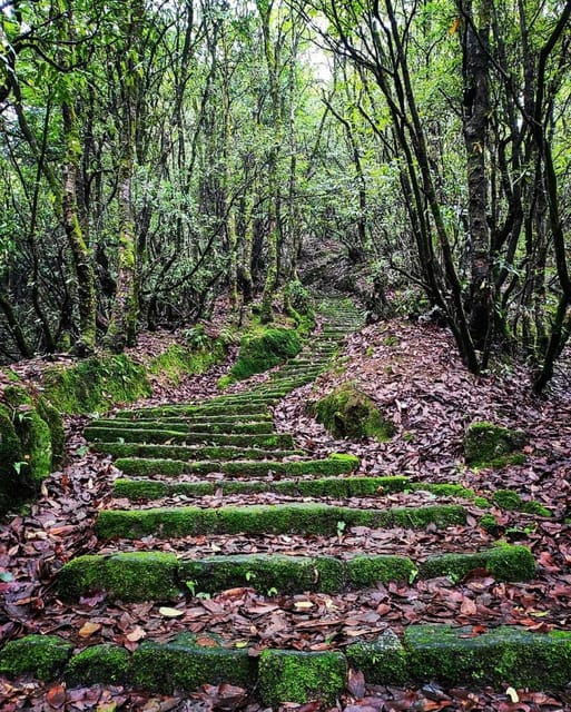 kathmandu-jamacho-nagarjung-danda-day-hike