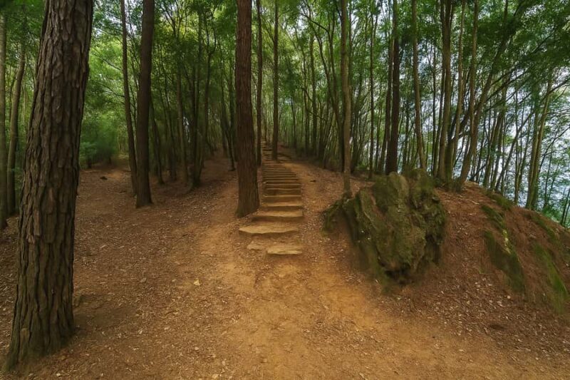 Kathmandu: Jamacho Peak Hike with Local Guide & Meal - Key Points