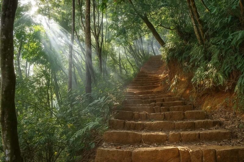 Kathmandu: Jamacho Peak Hike with Local Guide & Meal - The Trail and Forest