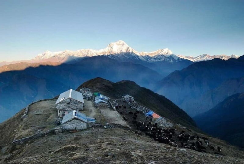 Kathmandu: Khopra Ridge Trek with Panoramic Views - An Overview of the Trek: What to Expect
