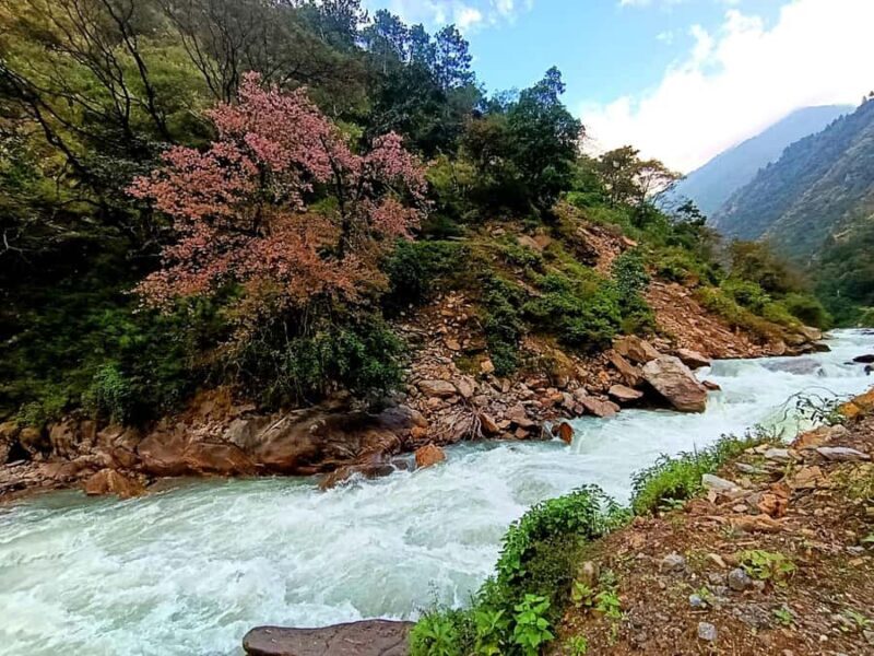 Kathmandu: Langtang Valley 7-Day Trek with Private Transfers - The Sum Up