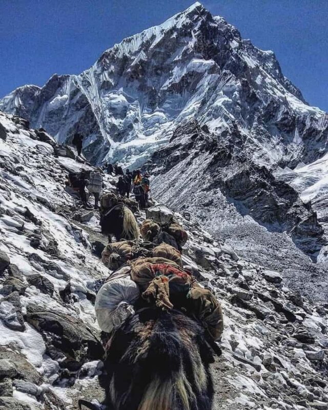 Kathmandu: Manaslu Circuit Trek 14 Day Guided Tour - An In-Depth Look at the Manaslu Circuit Trek