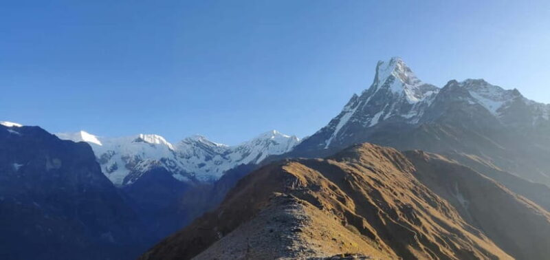 Kathmandu: Mardi Himal Trek with Vibrant Views - An Overview of the Mardi Himal Trek Experience