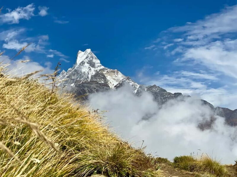 Kathmandu: Mardi Himal Trek with Vibrant Views - The Sum Up