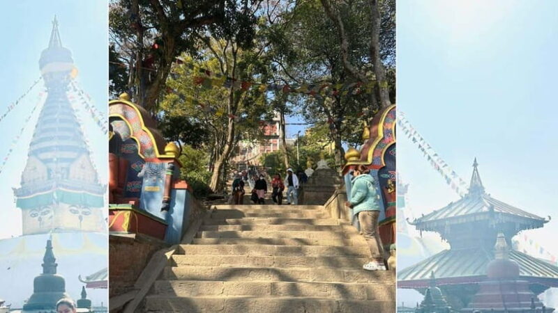 Kathmandu: Monkey Temple Guided Monkey Watching Tour - Key Points