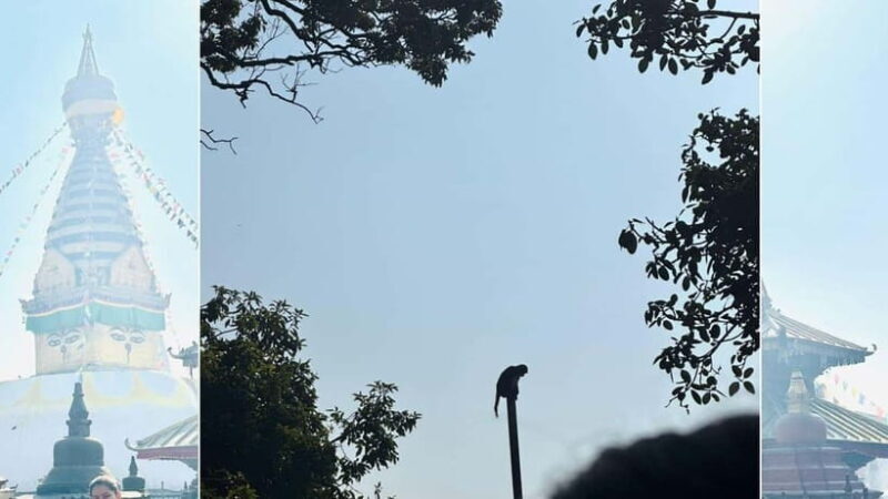 Kathmandu: Monkey Temple Guided Monkey Watching Tour - Who Should Consider This Tour?