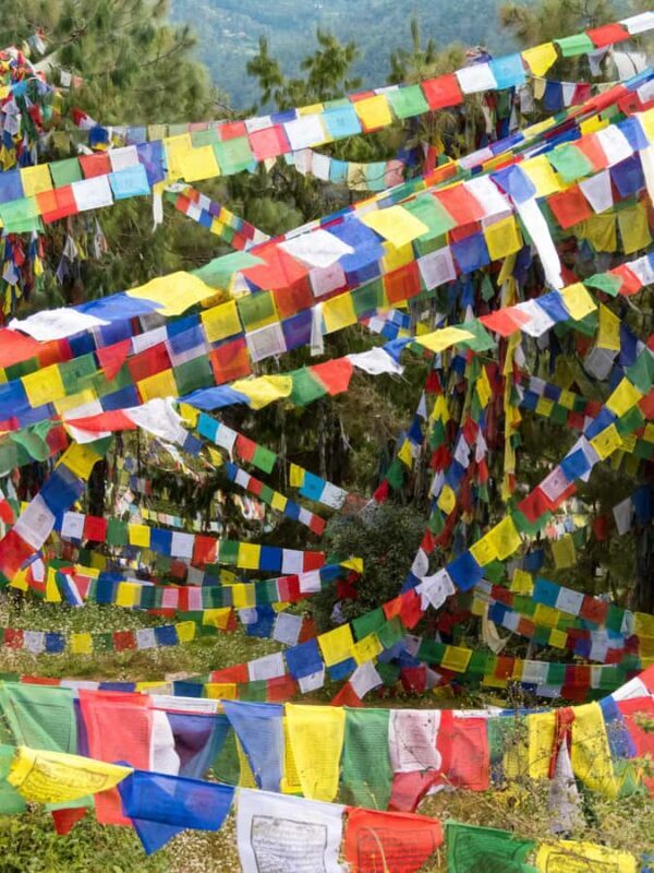 Kathmandu: Namobuddha Day Hike with Monastery Visit - What You’ll Love About This Tour