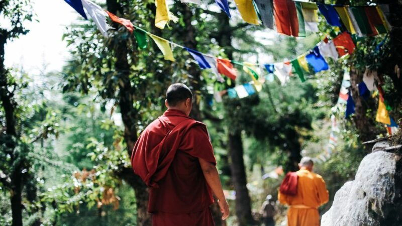 kathmandu-pharping-dakshinkali-and-chobhar-tour-with-lunch