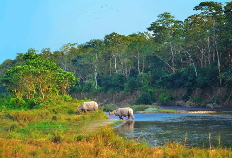 Kathmandu/Pokhara: 3 Day Chitwan Jungle Safari Tour - Accommodation and Food