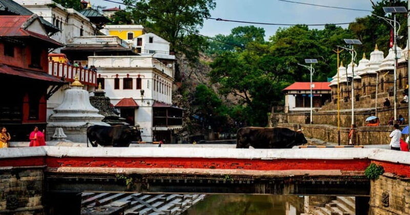 kathmandu-private-cultural-and-heritage-day-tour