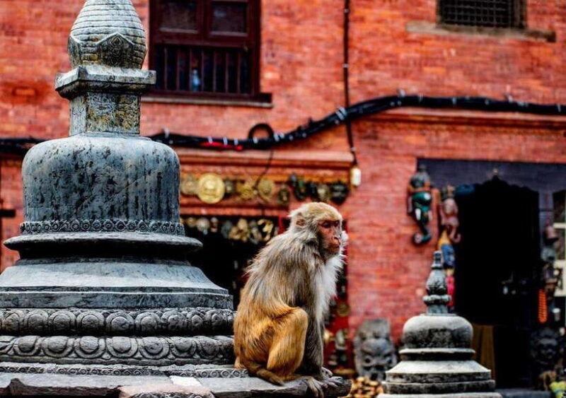 kathmandu-private-cultural-and-heritage-day-tour