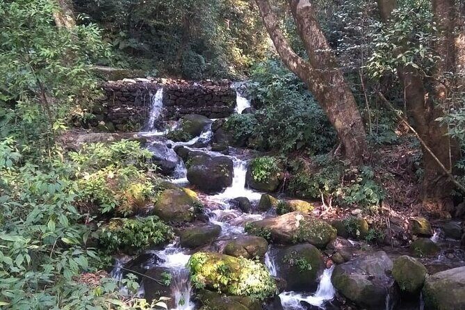 Kathmandu Private Tour: Day Hiking to Shivapuri - A Deep Dive into the Shivapuri Hike Experience