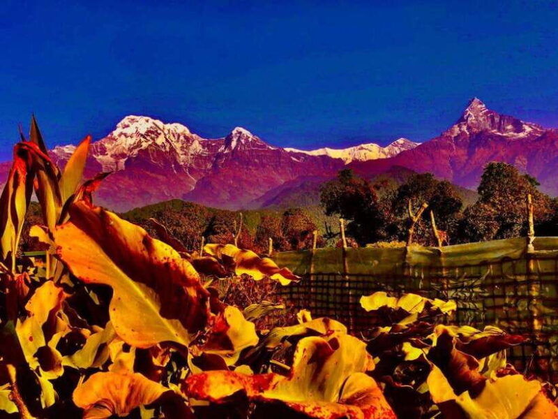 kathmandu-rapid-ghorepani-poon-hill-trek-with-guide