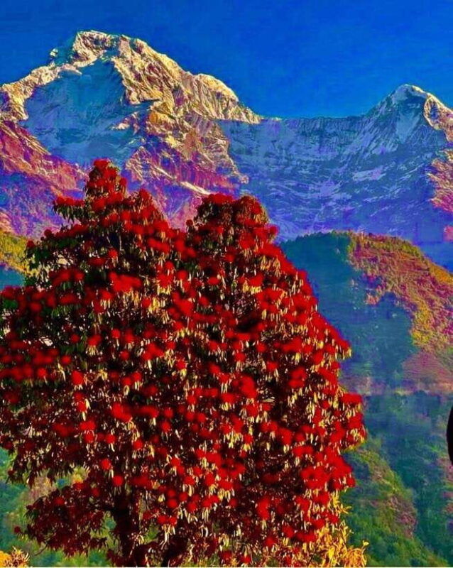 kathmandu-rapid-ghorepani-poon-hill-trek-with-guide