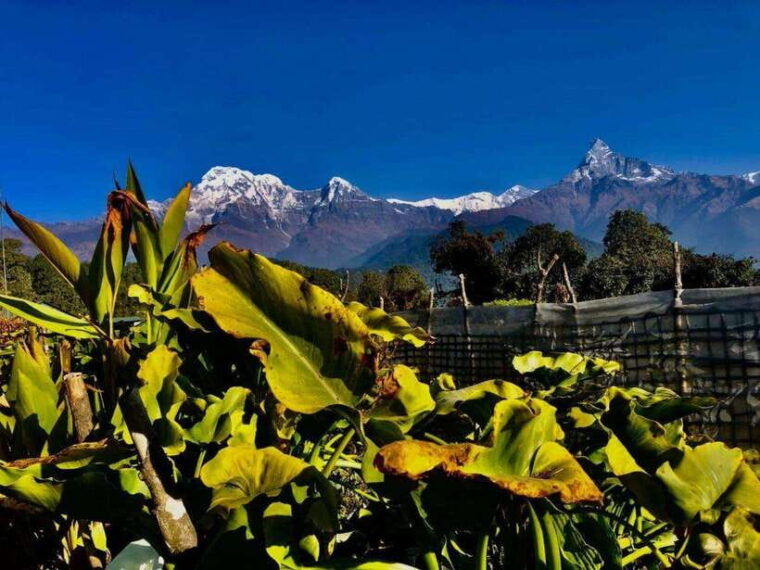 kathmandu-rapid-ghorepani-poon-hill-trek-with-guide