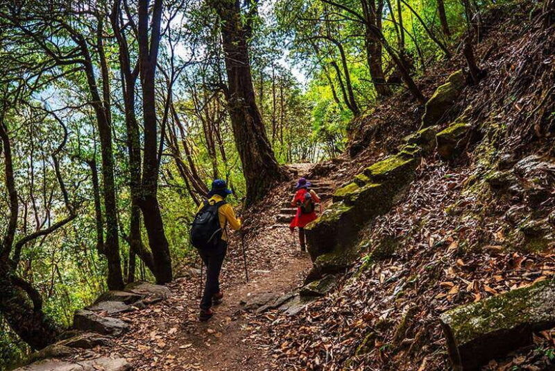 kathmandu-shivapuri-day-hike-with-lunch