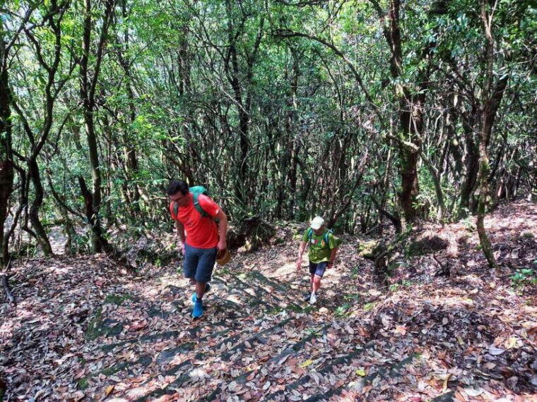 kathmandu-shivapuri-day-hike-with-lunch