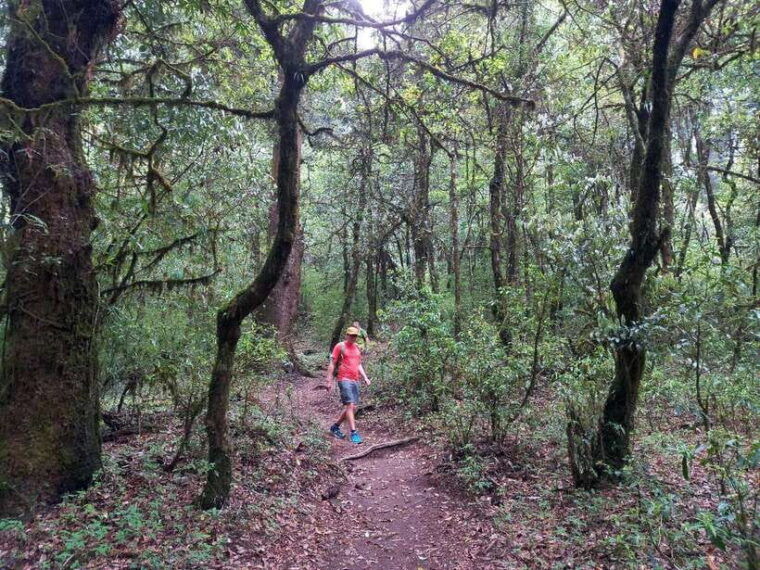 kathmandu-shivapuri-day-hike-with-lunch