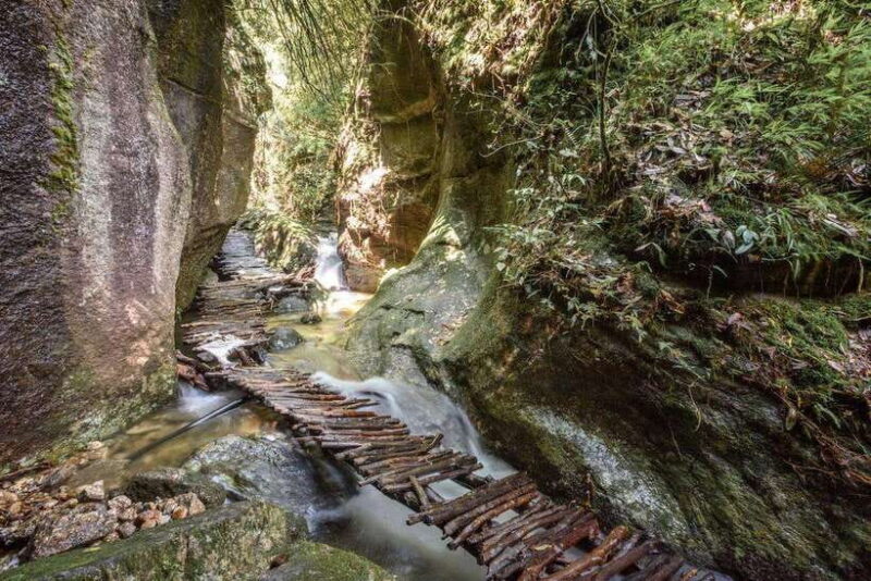 Kathmandu: Shivapuri Hill Day Hike with Lunch box - The Summit and Panoramic Views