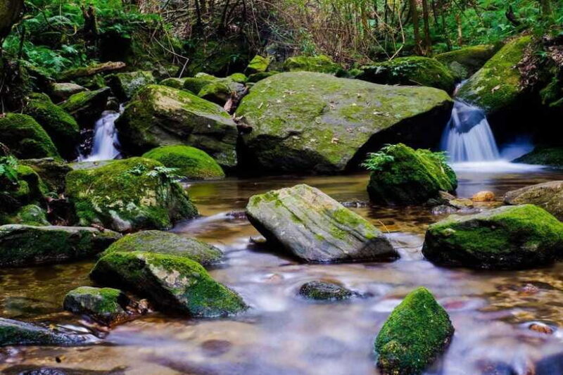 Kathmandu: Shivapuri Hill Day Hike with Lunch box - Who Will Love This Experience?